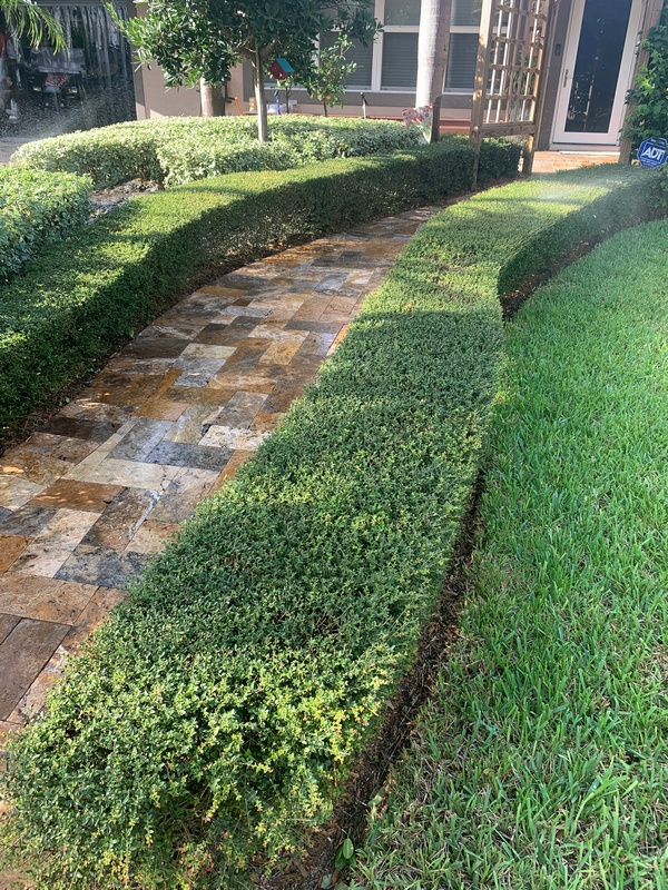 DeMarco Landscaping portfolio