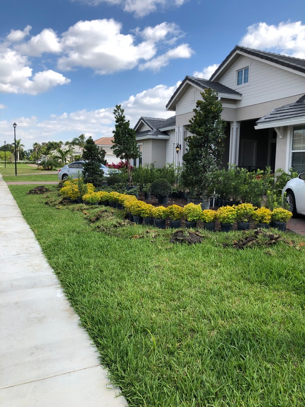 DeMarco Landscaping portfolio