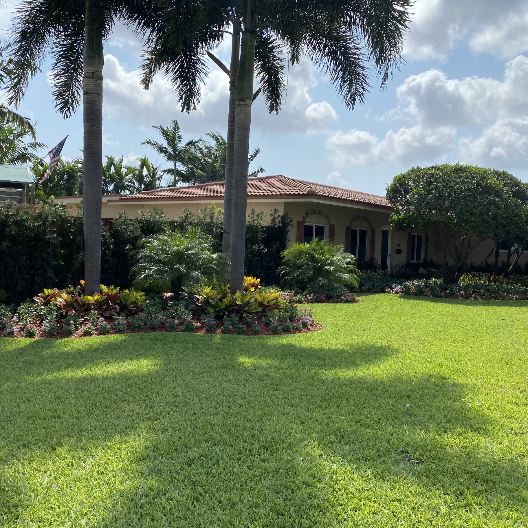 Lawn Care & Maintenance