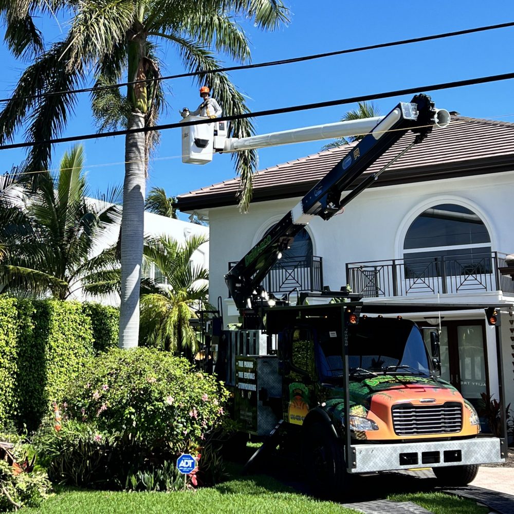 DeMarco Landscaping portfolio