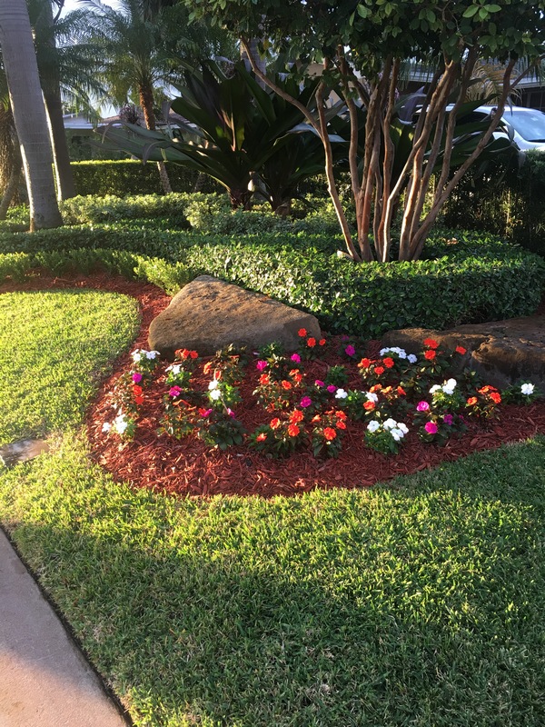 DeMarco Landscaping portfolio