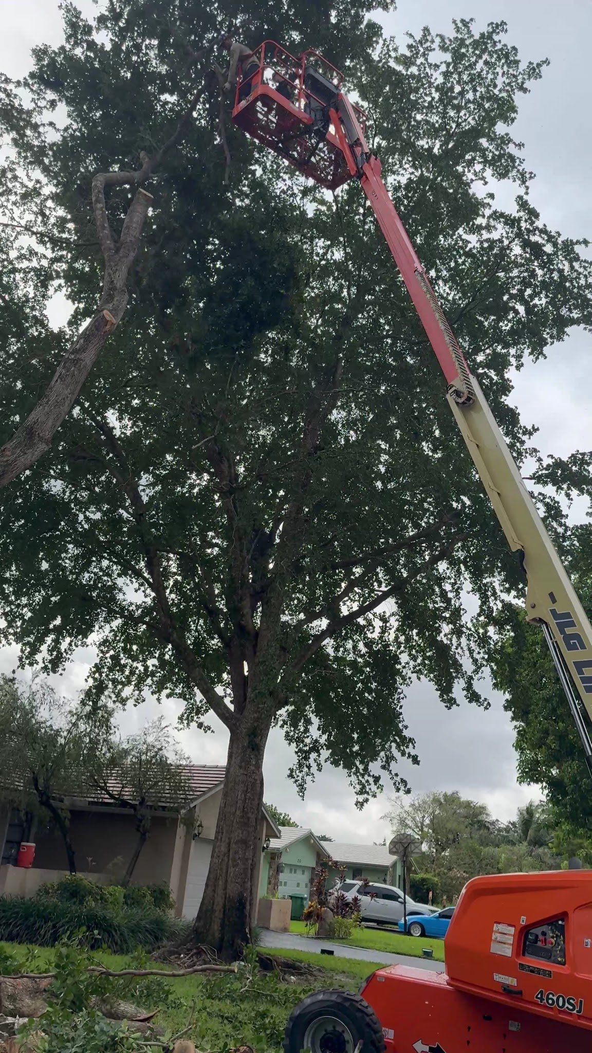 DeMarco boom lift on a large tree trim job