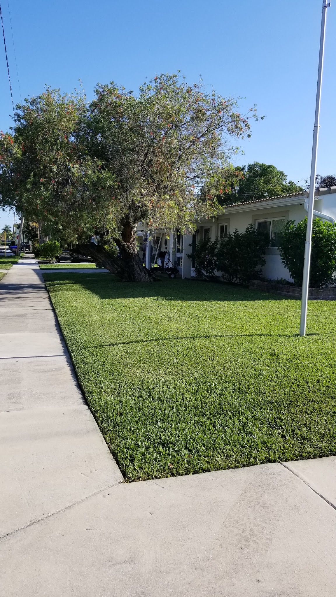 DeMarco Landscaping recent work